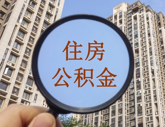 嘉鱼退休后查不到公积金明细了吗（退休后公积金查询不到原因）
